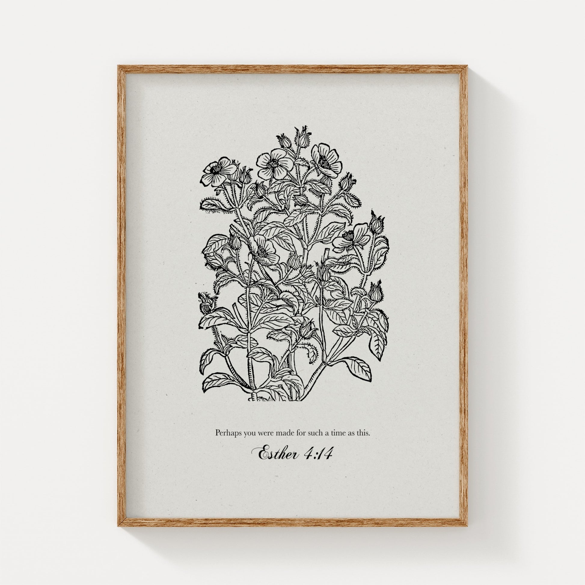 Close-up of the botanical art print featuring black floral illustrations and Esther 4:14, framed in natural wood on a plain white background.
