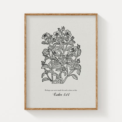 Close-up of the botanical art print featuring black floral illustrations and Esther 4:14, framed in natural wood on a plain white background.