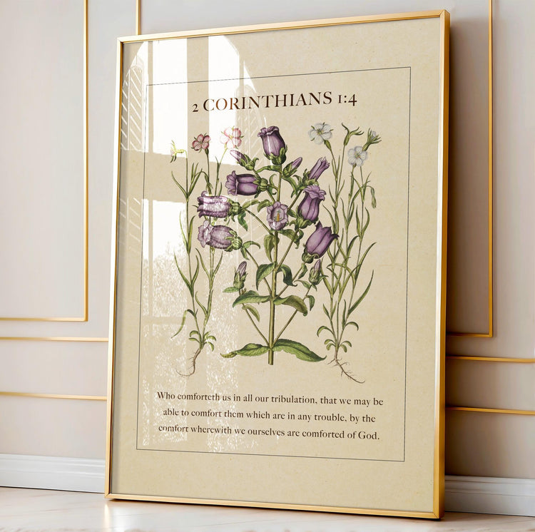 2 Corinthians 1:4 – Comfort in Affliction | Botanical Art - Reflourish Collective
