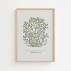 Romans 12:12 – Vintage Botanical Scripture Print
