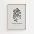 Jane Austen – Vintage Botanical Literary Quote Print