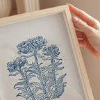 Philippians 4:6 – Vintage Botanical Scripture Print