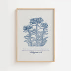 Philippians 4:6 – Vintage Botanical Scripture Print