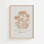 Philippians 4:6 – Vintage Botanical Scripture Print