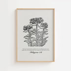 Philippians 4:6 – Vintage Botanical Scripture Print