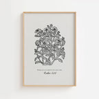 Esther 4:14 – Vintage Botanical Scripture Print