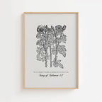 Song of Solomon 4:7 – Vintage Botanical Scripture Print