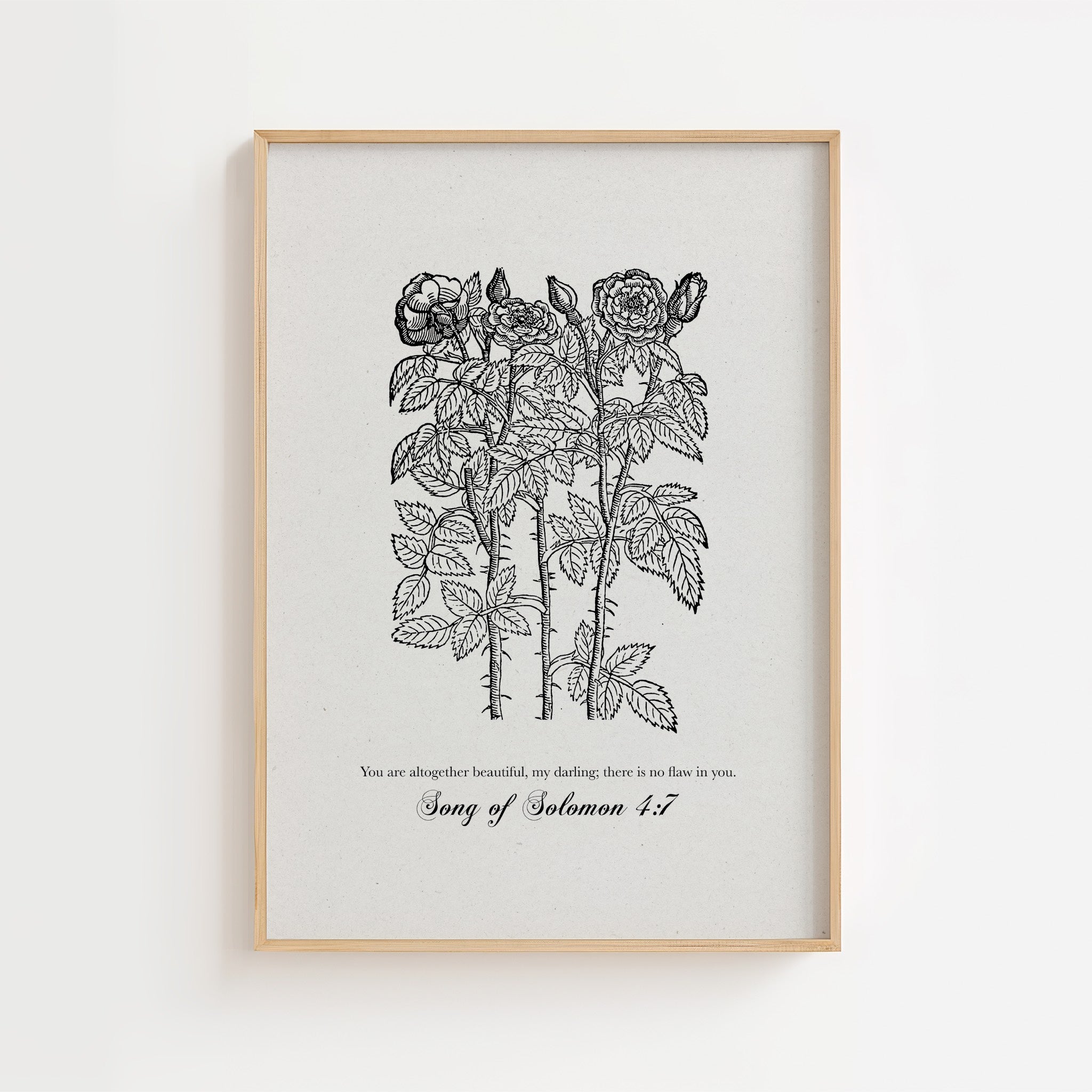 Song of Solomon 4:7 – Vintage Botanical Scripture Print