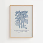 Song of Solomon 4:7 – Vintage Botanical Scripture Print