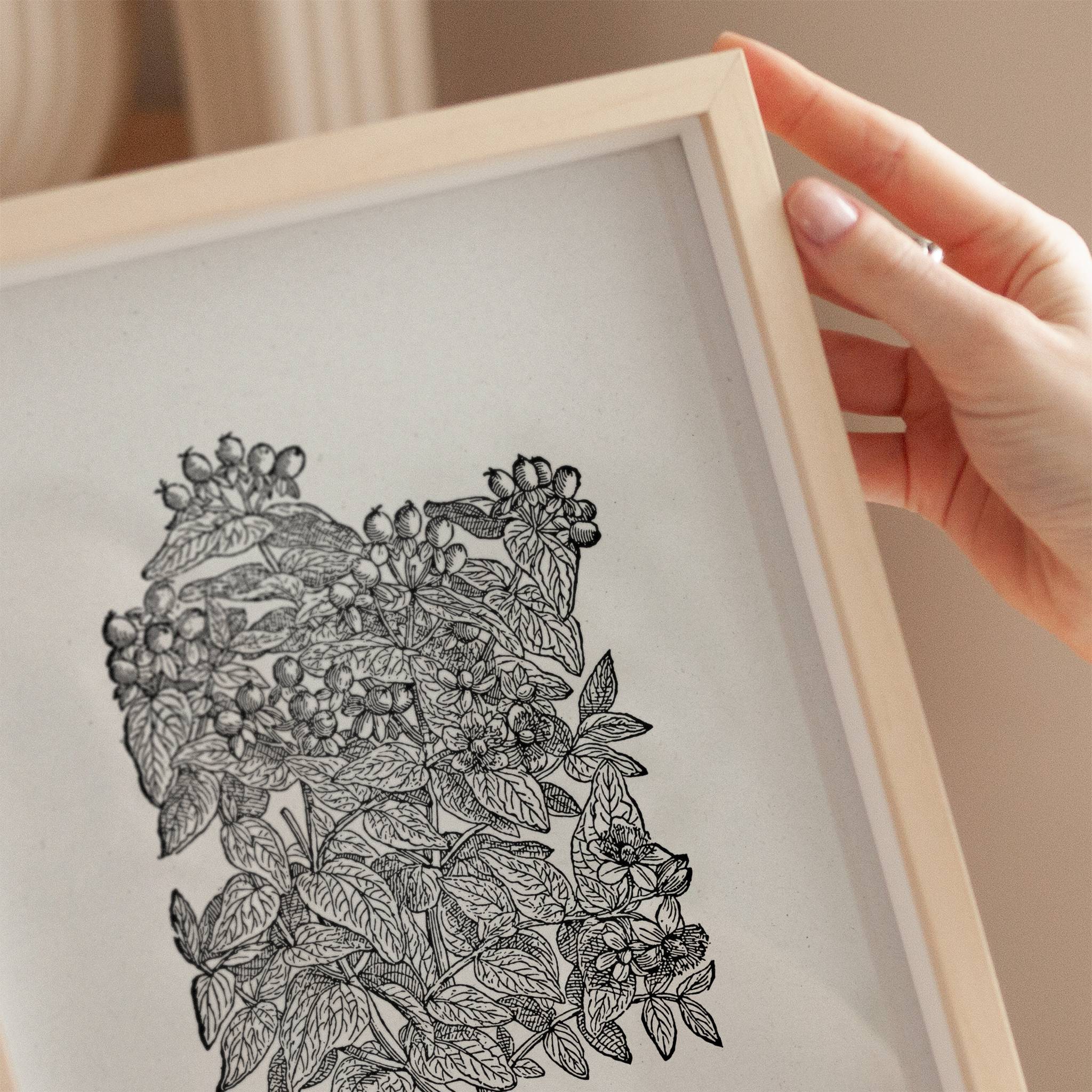 Proverbs 3:15 – More Precious Than Rubies Botanical Scripture Print