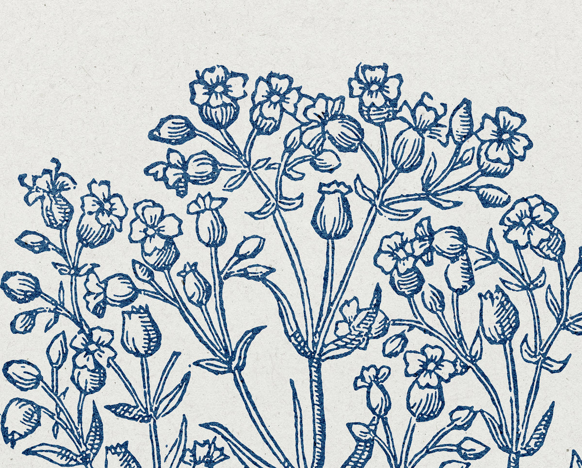 Emily Dickinson – Forever Is Composed of Nows Botanical Quote Print
