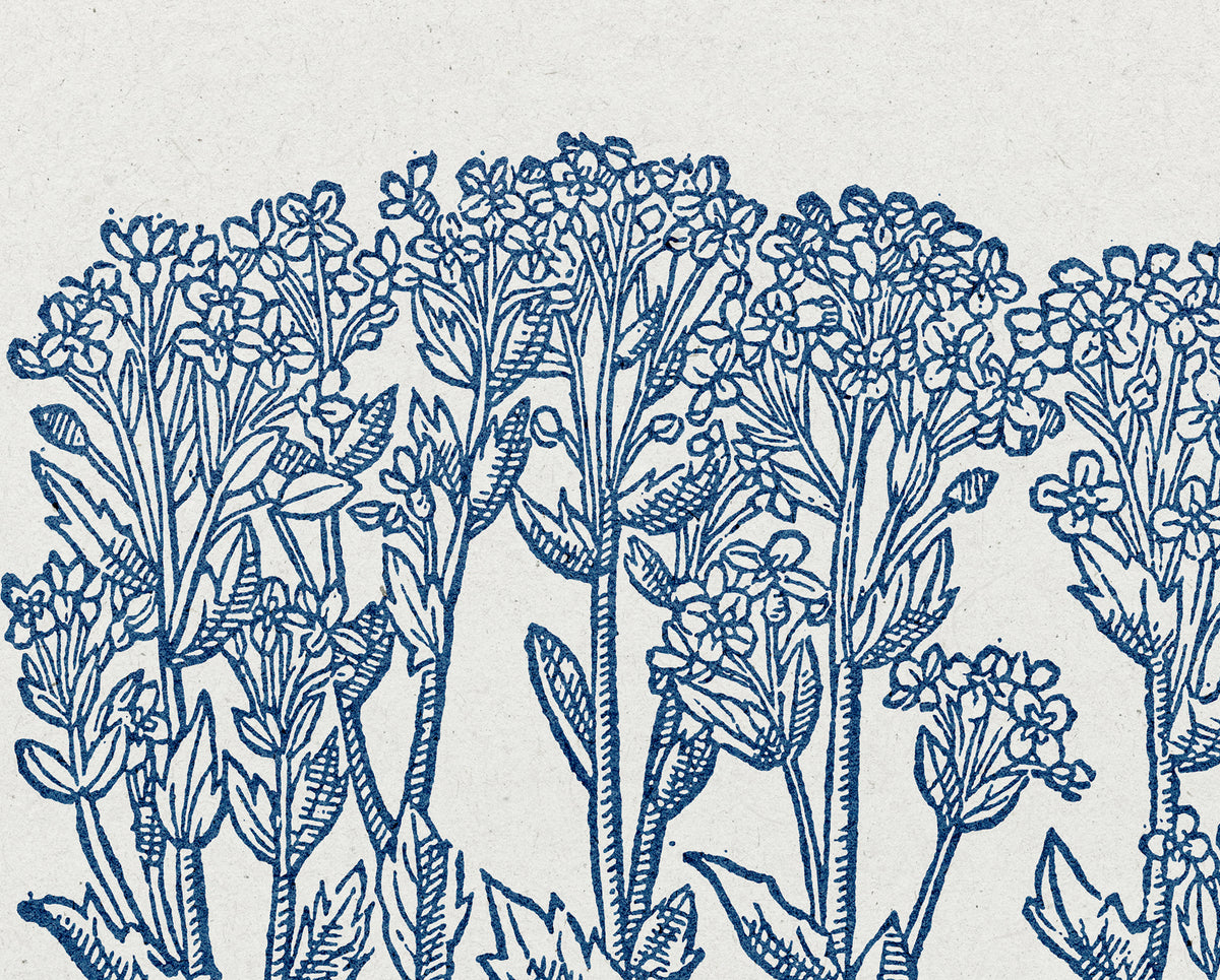 Matthew 11:28-30 – Come to Me Botanical Scripture Print