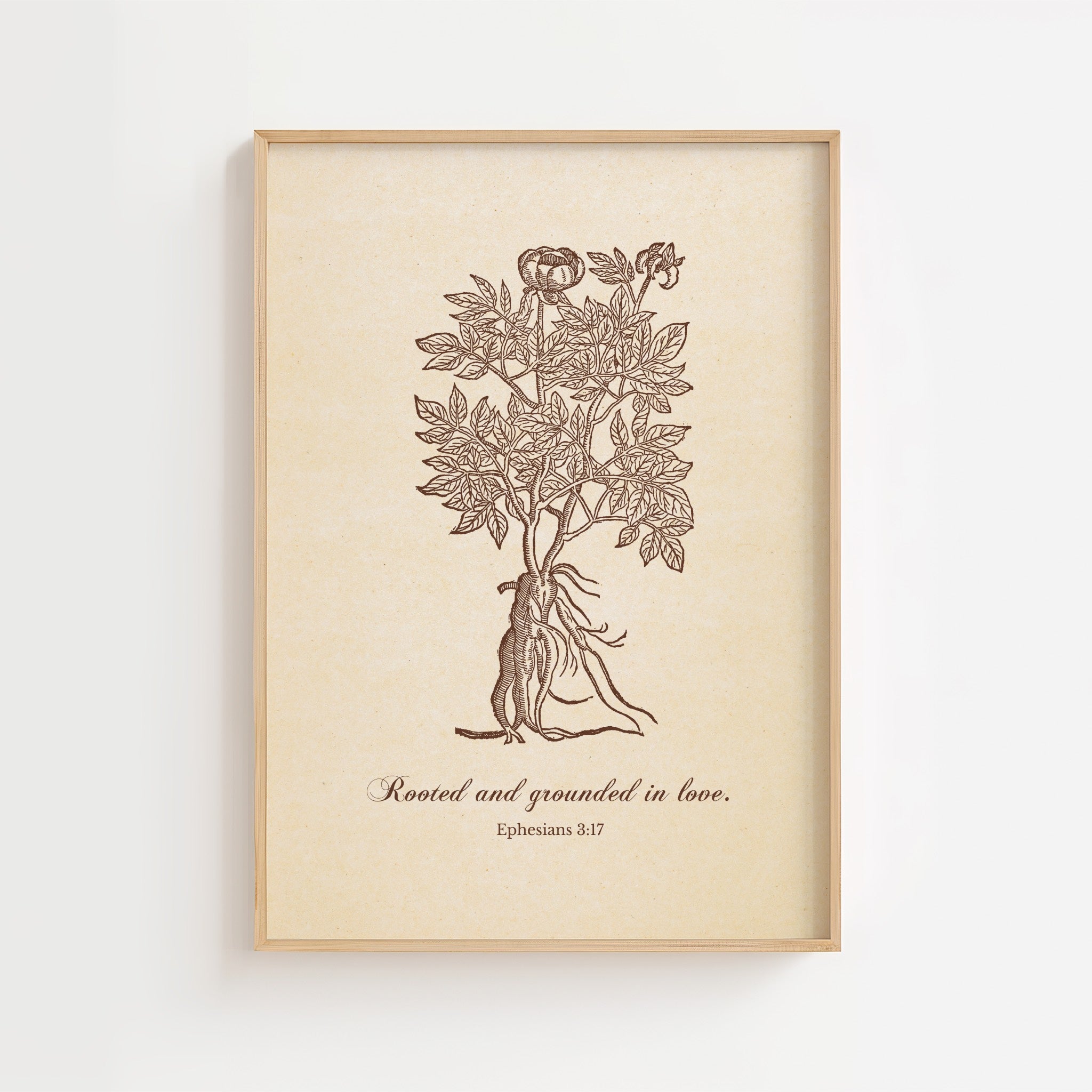 Ephesians 3:17 – Rooted and Grounded in Love Botanical Scripture Print