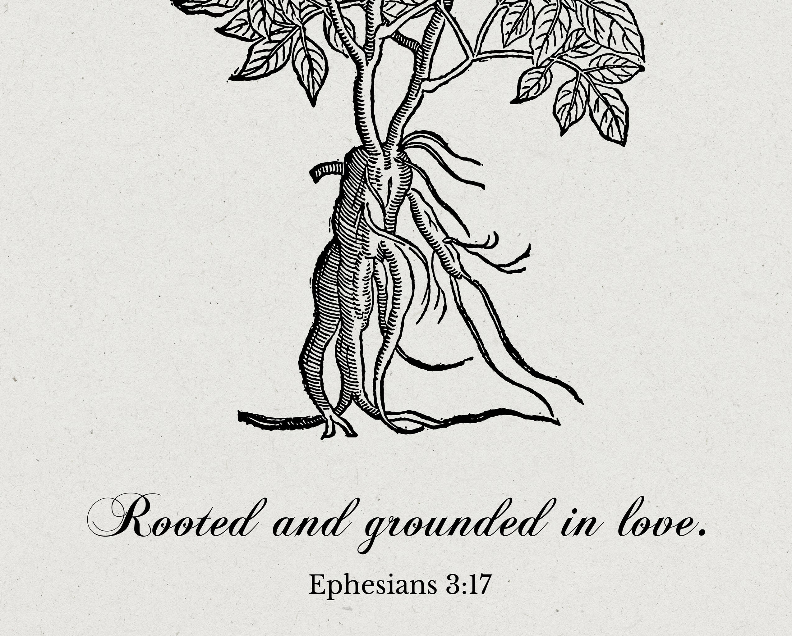 Ephesians 3:17 – Rooted and Grounded in Love Botanical Scripture Print