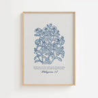 Philippians 4:7 – Peace of God Botanical Scripture Print