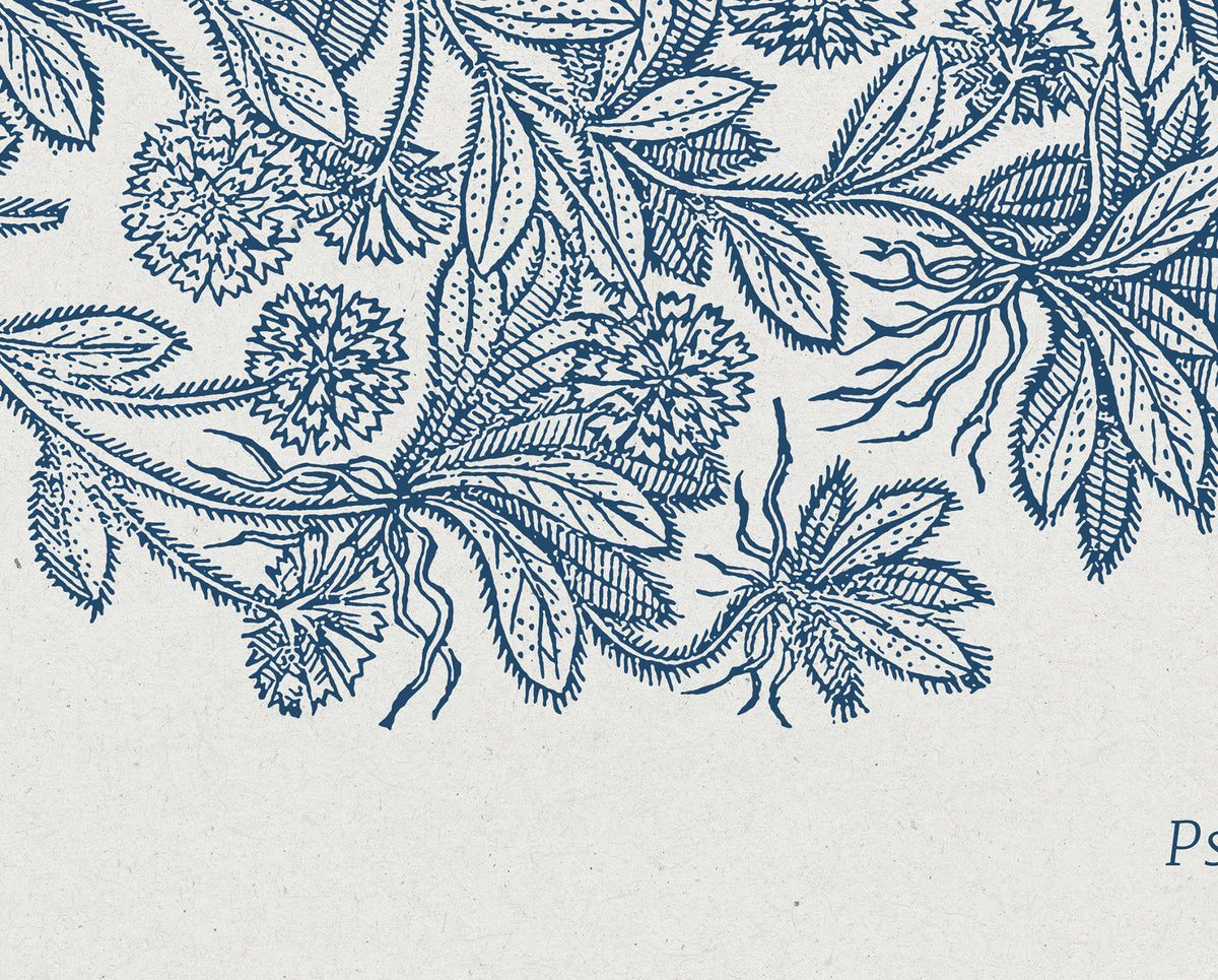 Psalm 16:11 – Vintage Floral Botanical Scripture Print