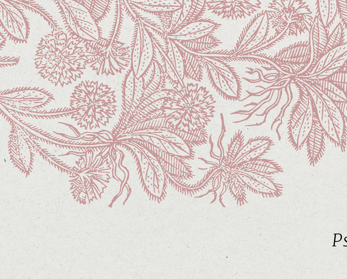 Psalm 16:11 – Vintage Floral Botanical Scripture Print