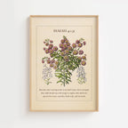 Isaiah 40:31 – Vintage Botanical Scripture Print