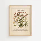 2 Timothy 1:7 – Vintage Botanical Scripture Print