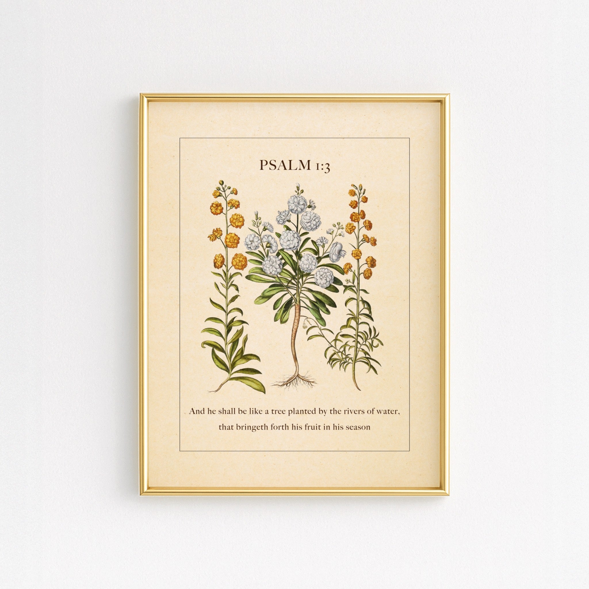 Psalm 1:3 – Like a Tree Planted by Water | Botanical Art - Reflourish Collective