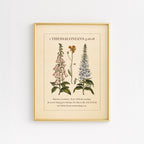 1 Thessalonians 5:16-18 – Rejoice Always | Botanical Art - Reflourish Collective