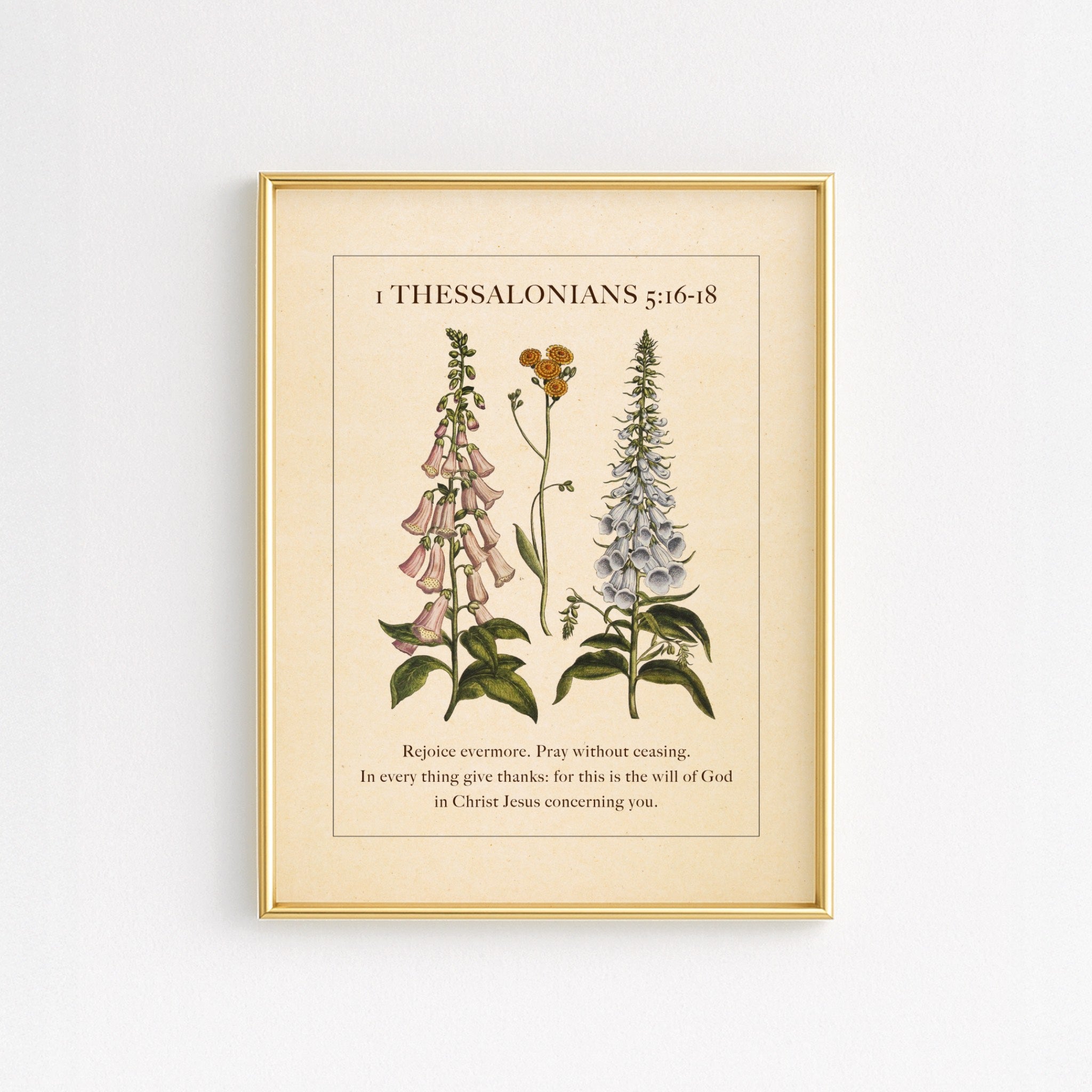 1 Thessalonians 5:16-18 – Rejoice Always | Botanical Art - Reflourish Collective