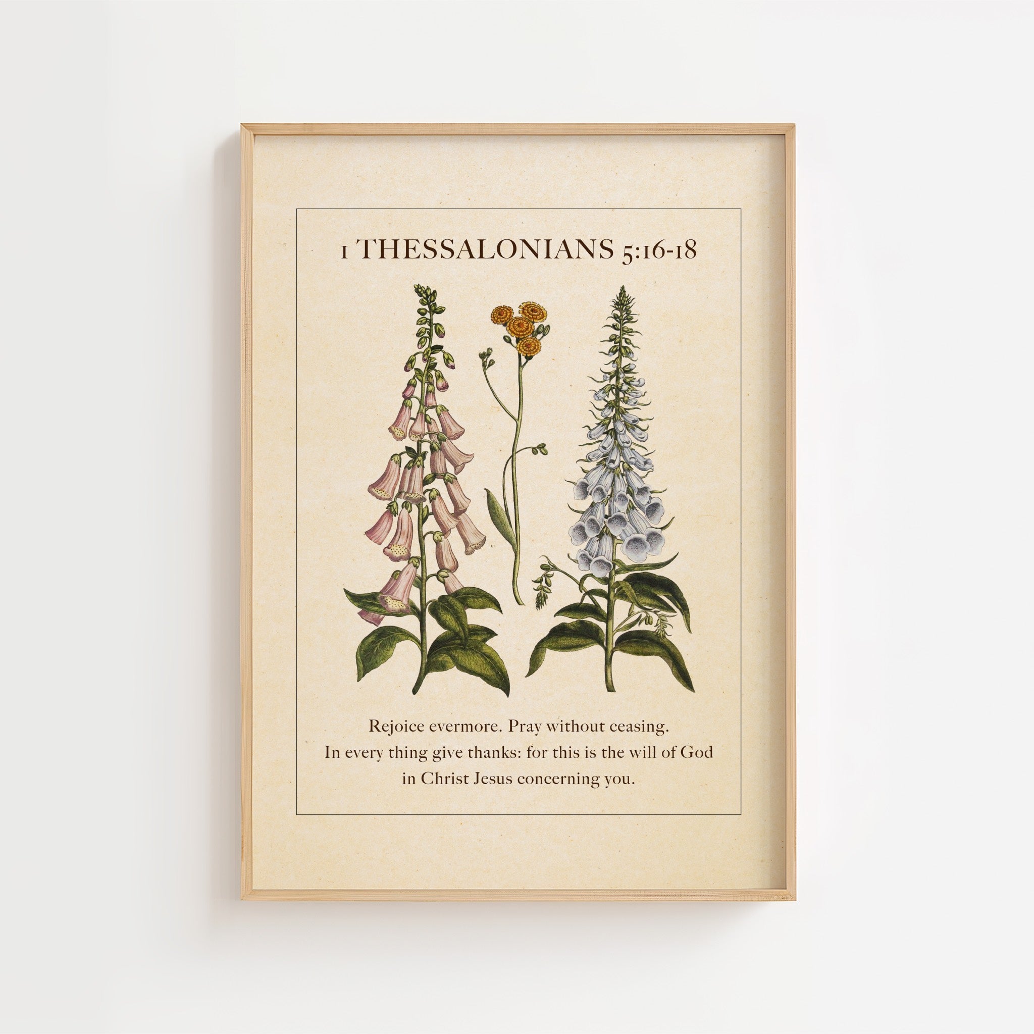 1 Thessalonians 5:16–18 – Vintage Botanical Scripture Print