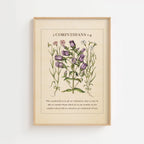 2 Corinthians 1:4 – Vintage Botanical Scripture Print