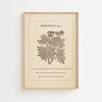 Jeremiah 29:11 – Vintage Botanical Scripture Print