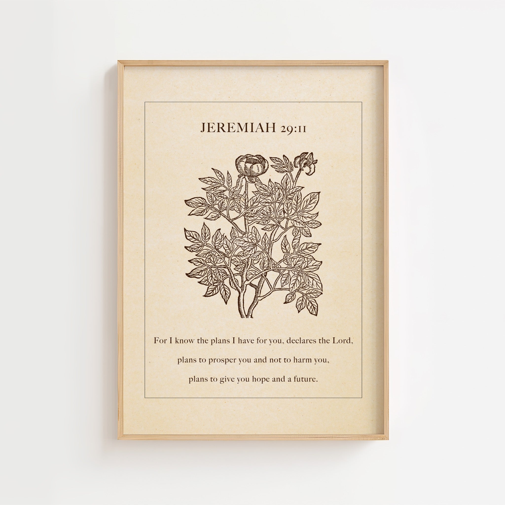 Jeremiah 29:11 – Vintage Botanical Scripture Print