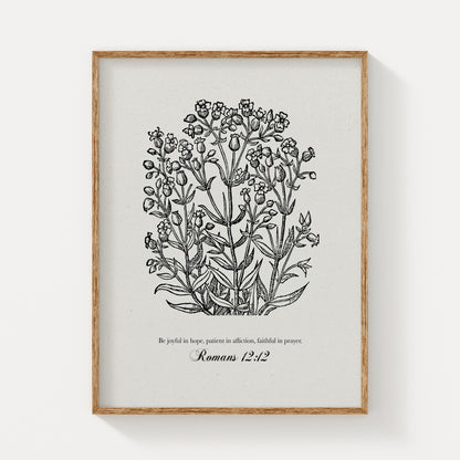 Romans 12:12 – Be Joyful in Hope | Botanical Art - Reflourish Collective