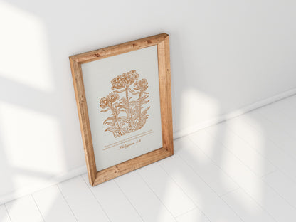 Botanical art print with warm golden floral details and Philippians 4:6, leaning against a sunlit wall, casting gentle shadows.