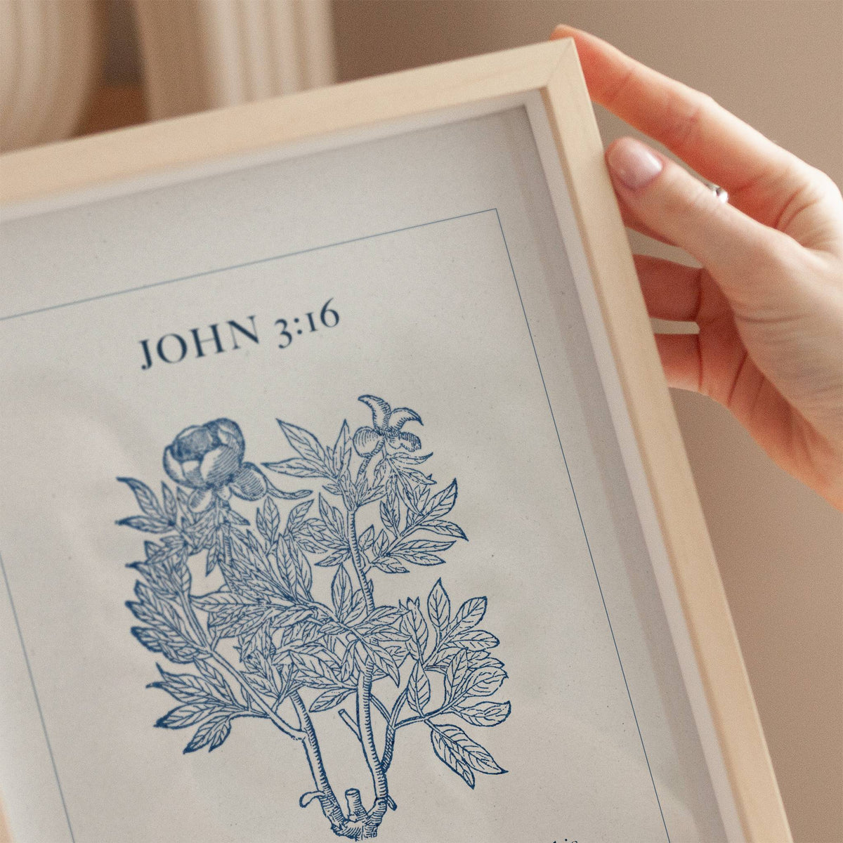 Framed print with 'JOHN 3:16' and a botanical illustration, held by a hand.