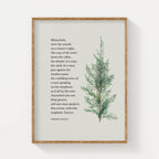 Framed print with nature-themed quote by Virginia Woolf and a plant illustration on a paper background