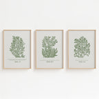 Strength & Courage – Set of 3 Botanical Bible Verse Prints