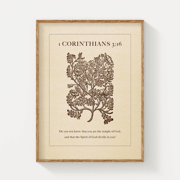 1 Corinthians 3:16 - Temple of God - Reflourish Collective