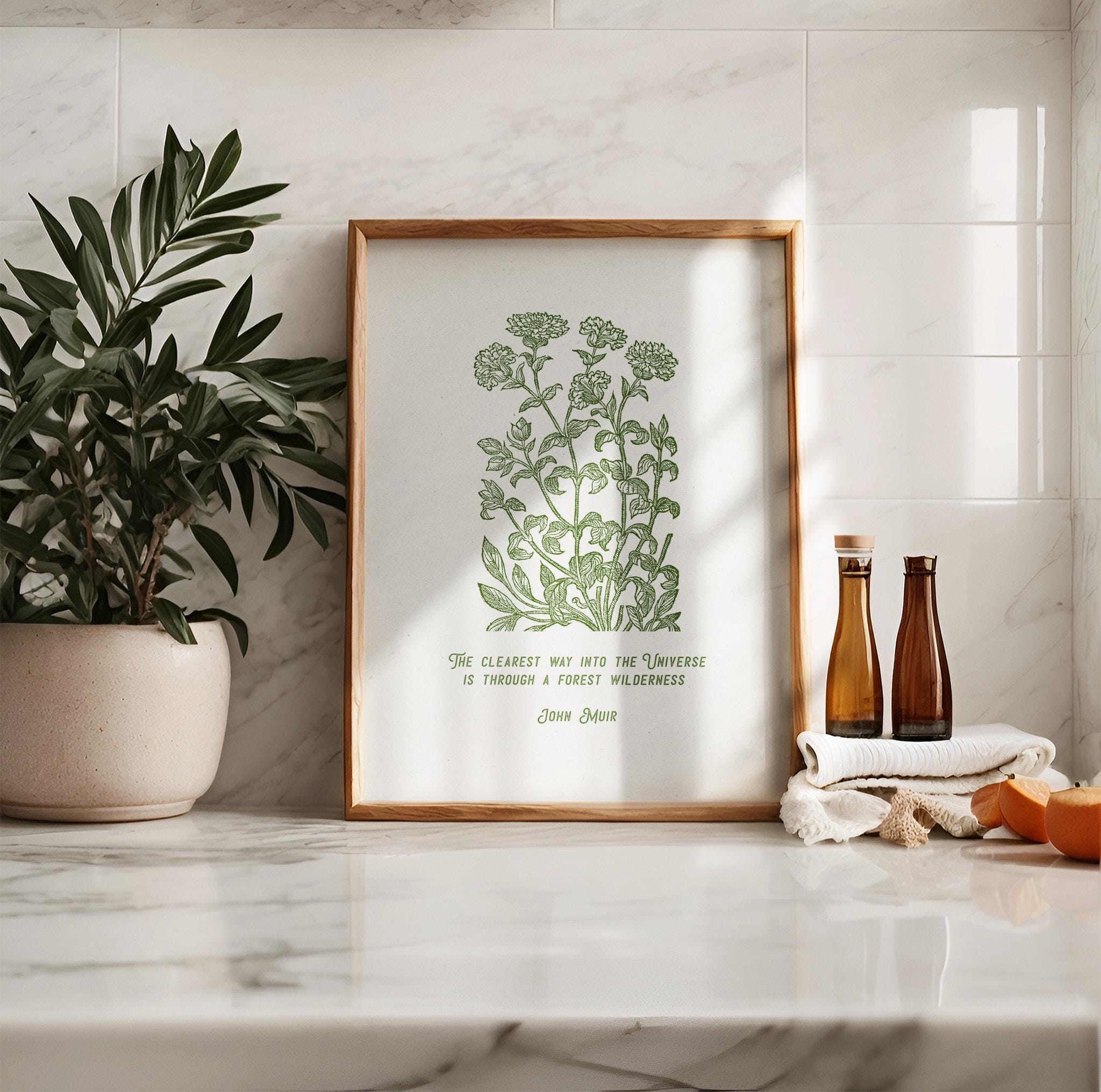 John Muir - Forest Wilderness | Botanical Art - Reflourish Collective