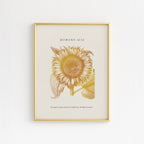 Romans 12:12 Bible verse with gold vintage sunflower drawing for Christian decor by Reflourish Collective