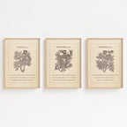 Peace & Trust – Set of 3 Vintage Botanical Bible Verse Prints