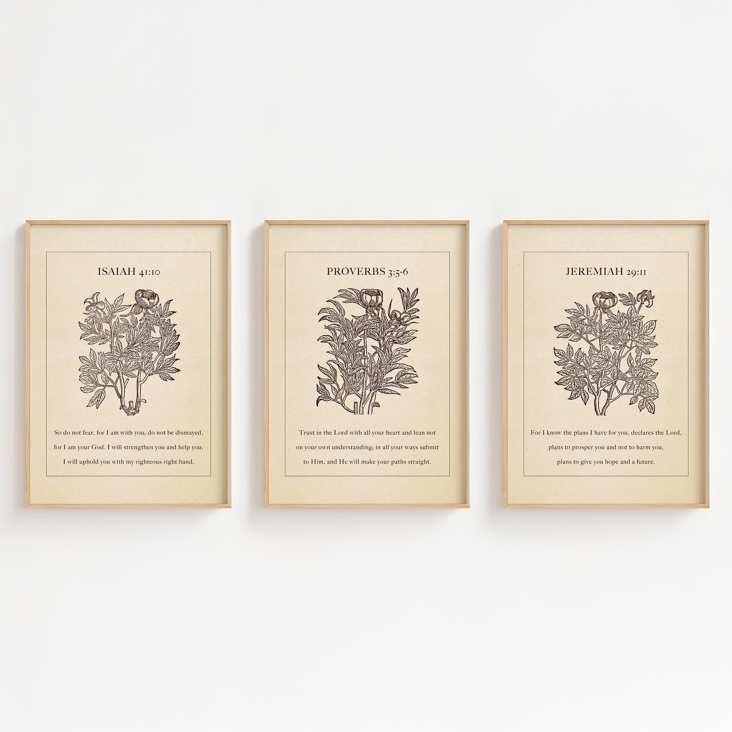 Peace & Trust – Set of 3 Vintage Botanical Bible Verse Prints
